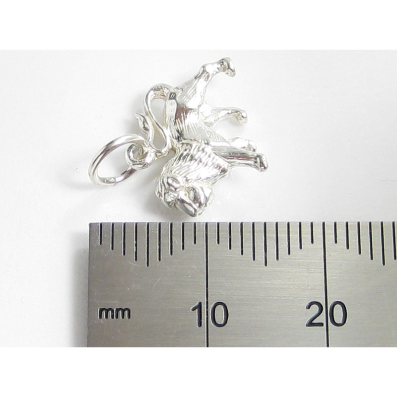 Leo The Lion Sterling Silver Charm, Zodiac Gift